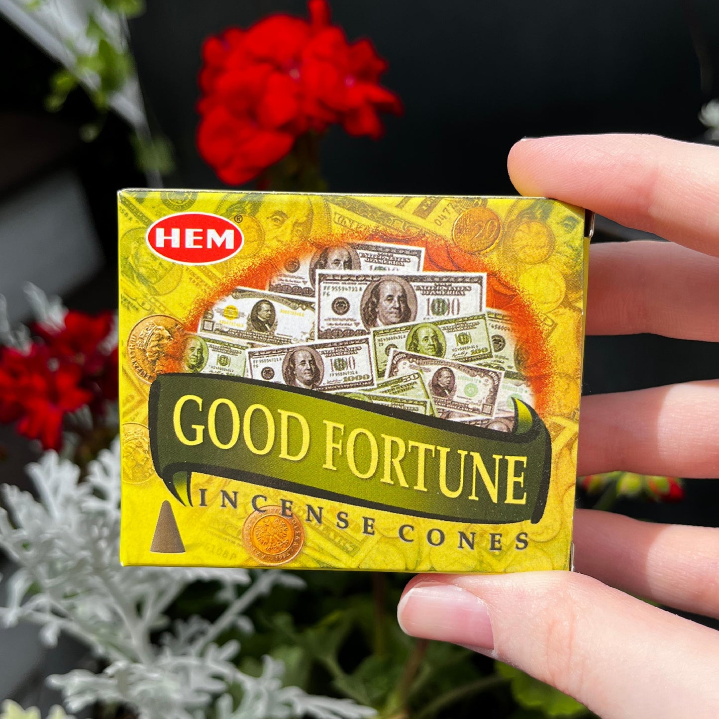 Good Fortune Incense Cones