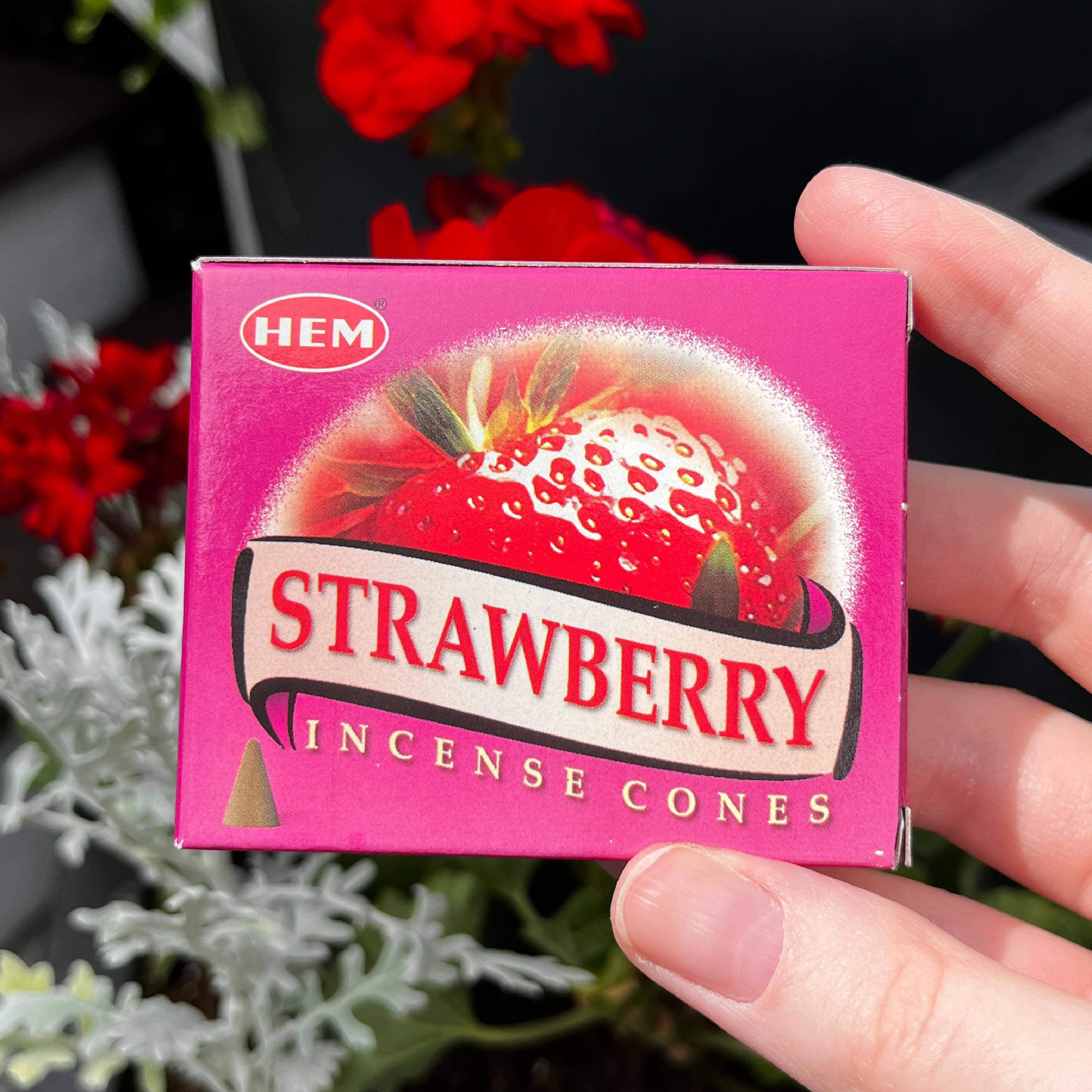 Hem Strawberry Incense Cones, Bulk Lot 12 Pack of 10 Cones, 120 Total Hem Strawberry Incense Cones, Bulk Lot 12 Pack of 10 Cones, 120 Total