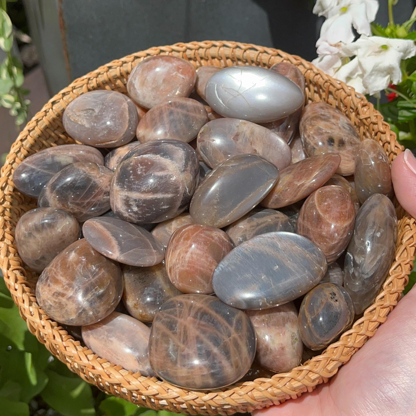 Sunstone in Black Moonstone Tumbles