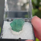 Rogerley Mine Fluorite Thumbnail Specimens