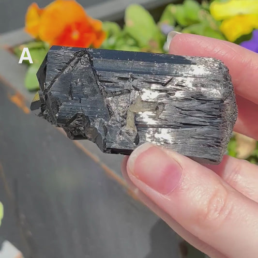 Schorl (Black Tourmaline) Specimens