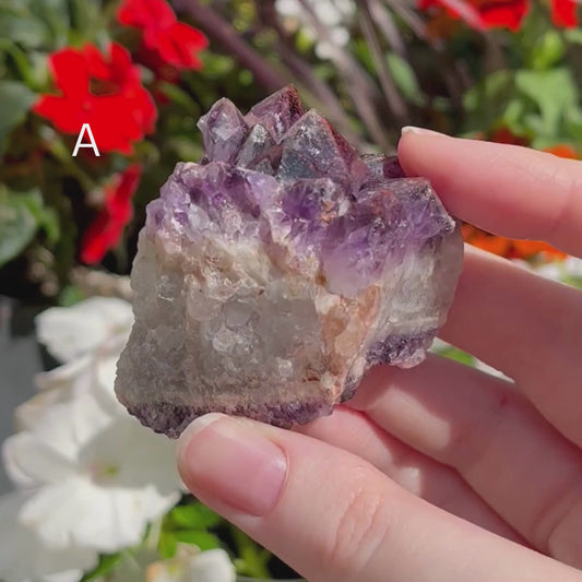 Thunder Bay Amethyst Specimen