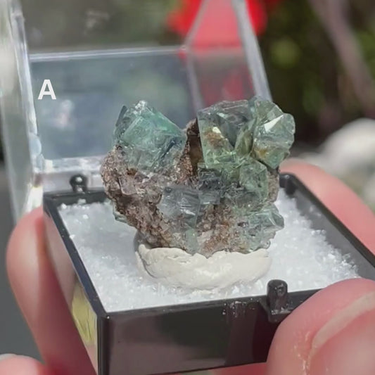 Rogerley Mine Fluorite Thumbnail Specimens