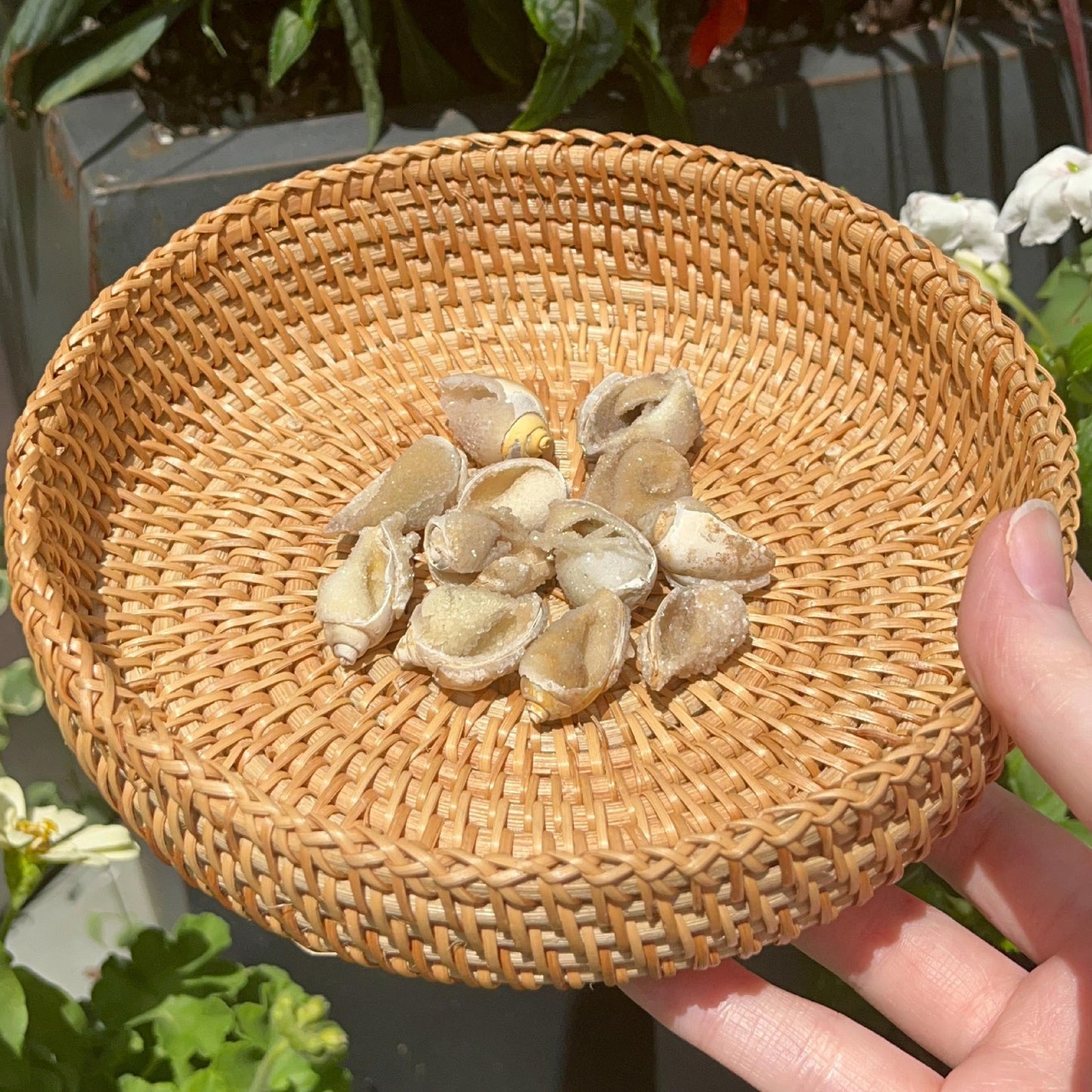 Druzy Quartz Shells