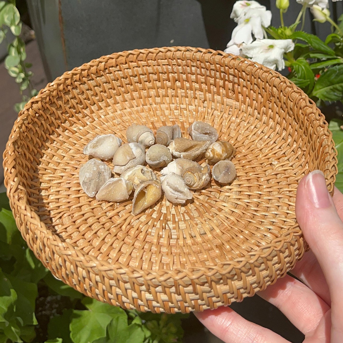 Druzy Quartz Shells